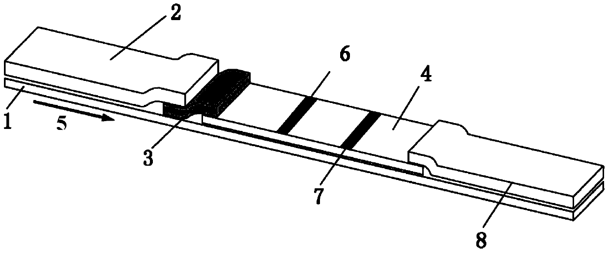 A gene Gbabc