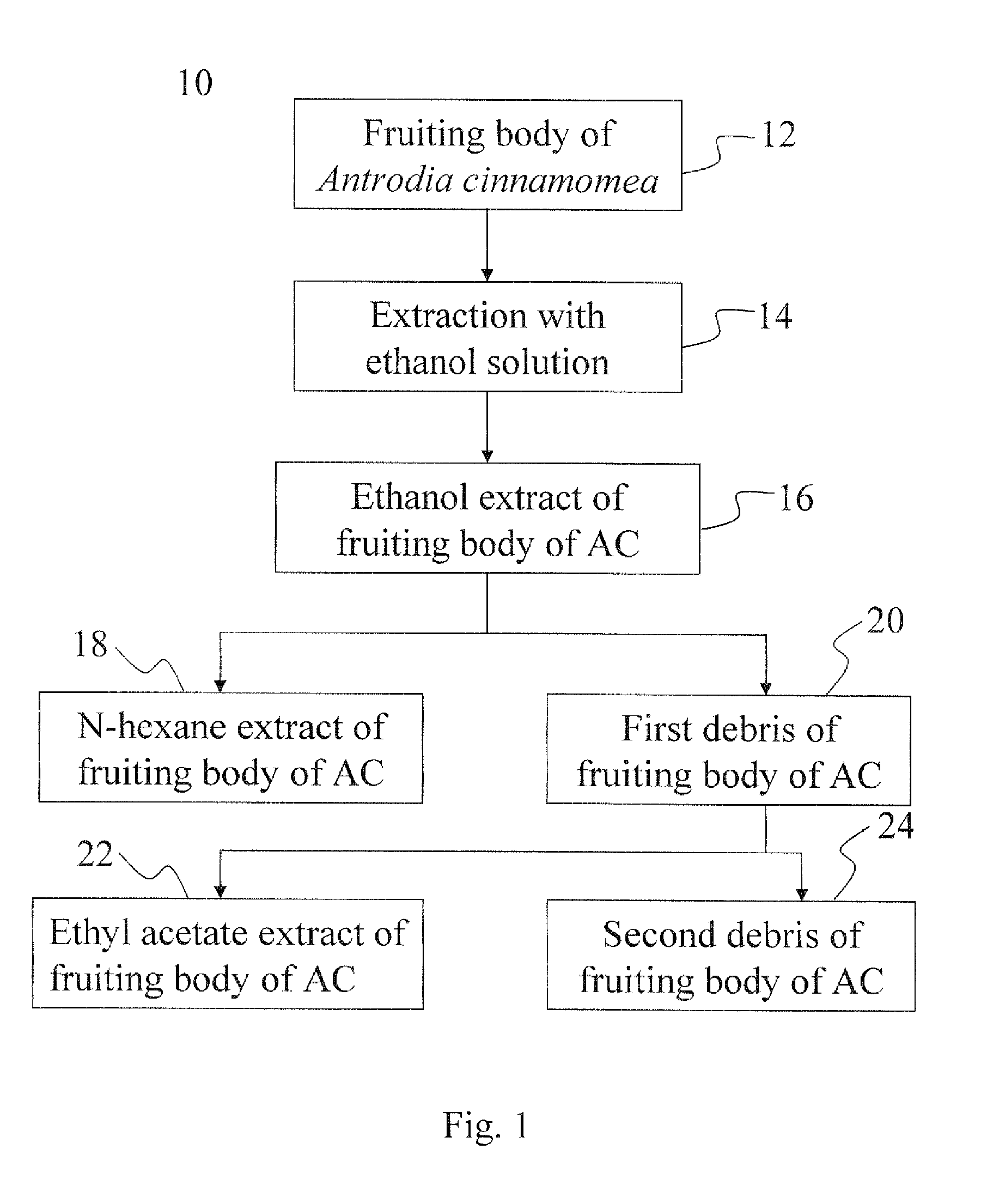 Triterpenoid composition of antrodia cinnamomea, preparation and analysis method thereof