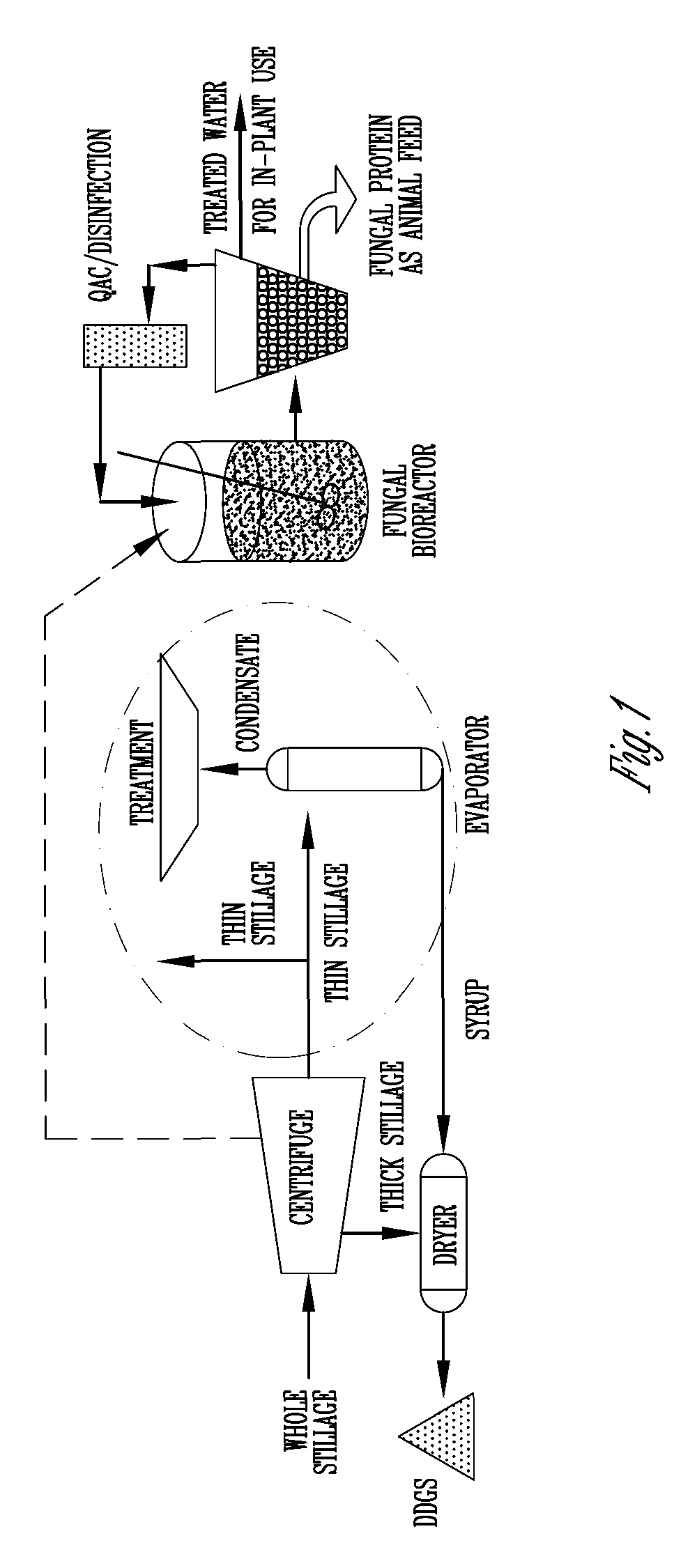 Purification of thin stillage from dry-grind corn milling with fungi