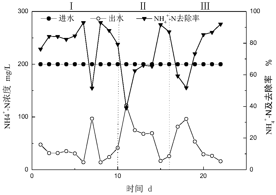 A kind of rapid start method of canon denitrification process