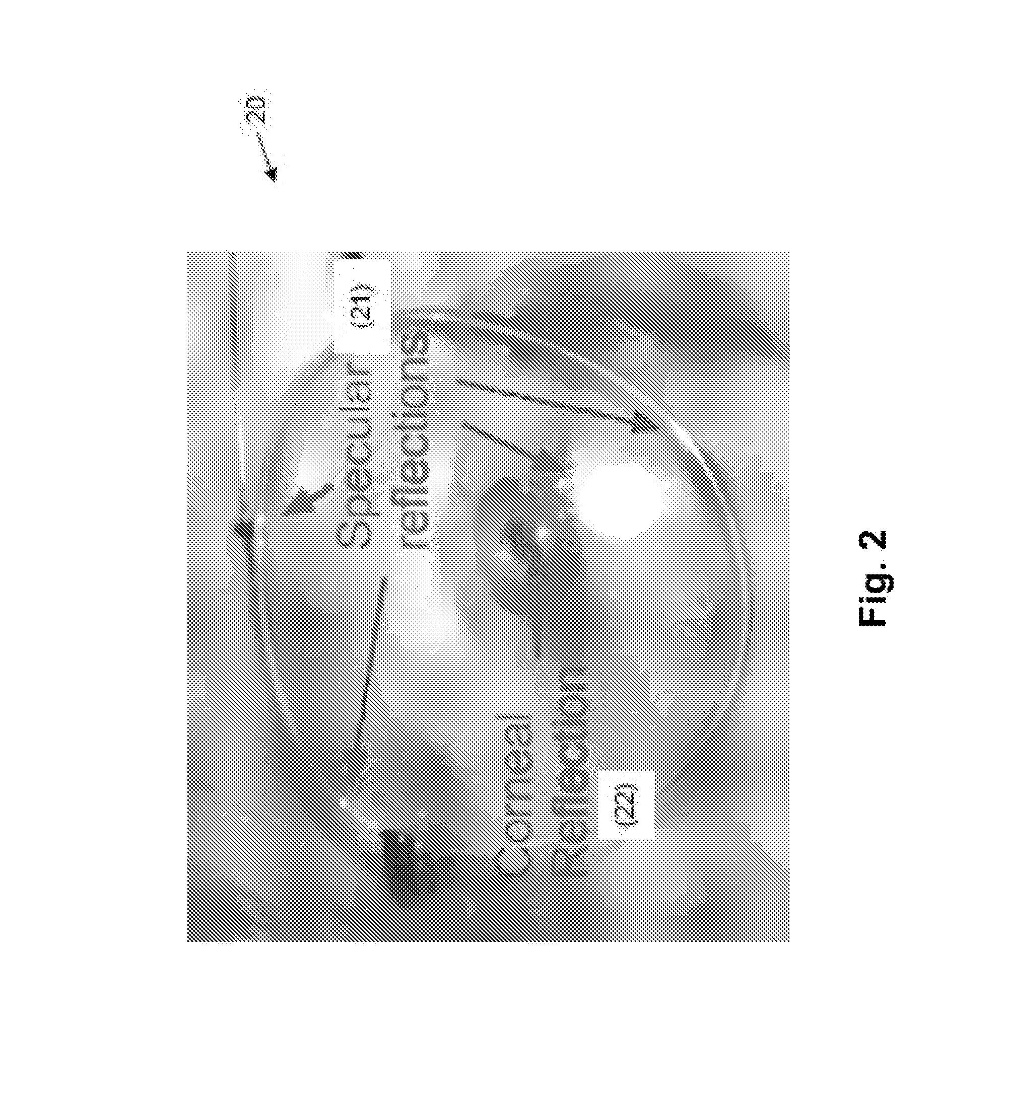Method and apparatus for eye detection from glints