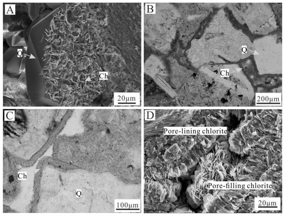 Method for detecting optimal reservoir in clastic rock reservoir containing chlorite