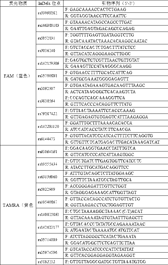 44 InDels locus composite amplification detection kit for forensic individual identification of degradation samples