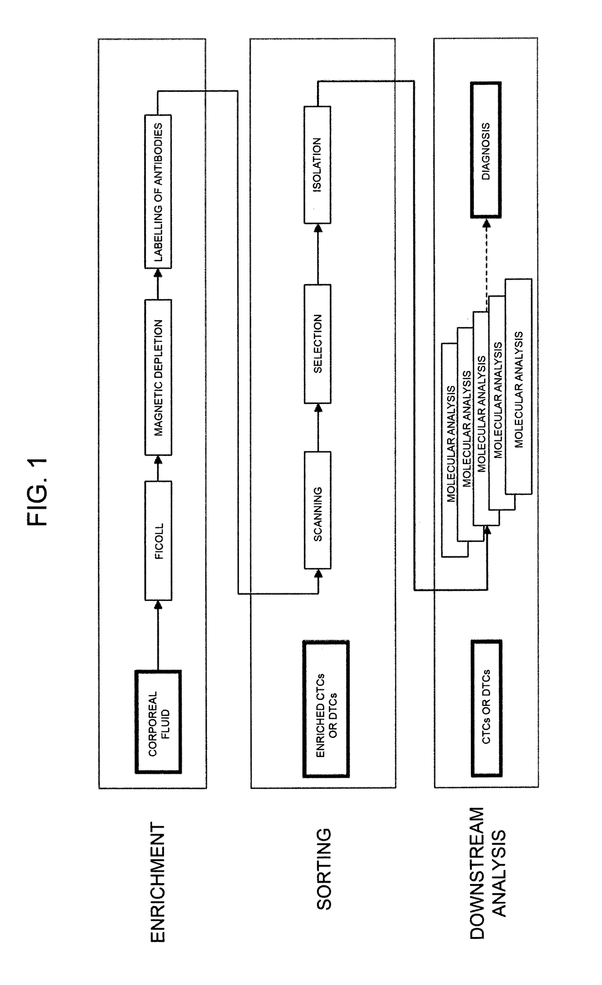 Method for identification, selection and analysis of tumour cells