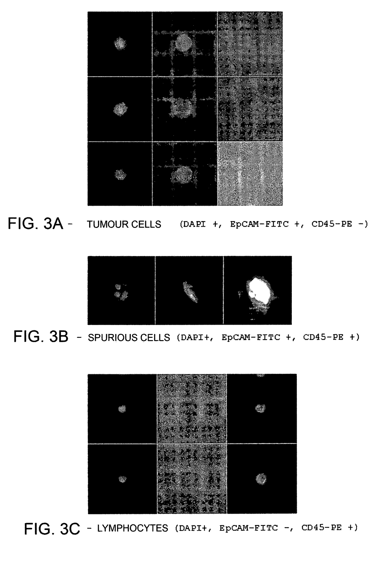 Method for identification, selection and analysis of tumour cells