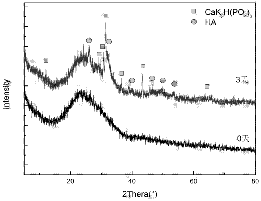 A kind of biological glass-sodium alginate composite biological material and its kit and application