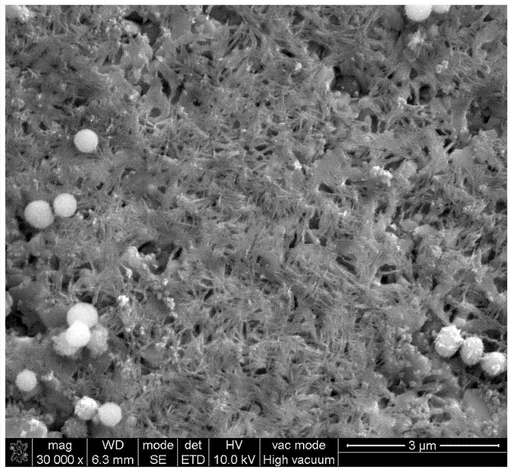 A kind of biological glass-sodium alginate composite biological material and its kit and application