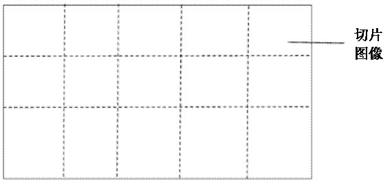 Method and device for constructing high-definition satellite map vector slices based on svg format