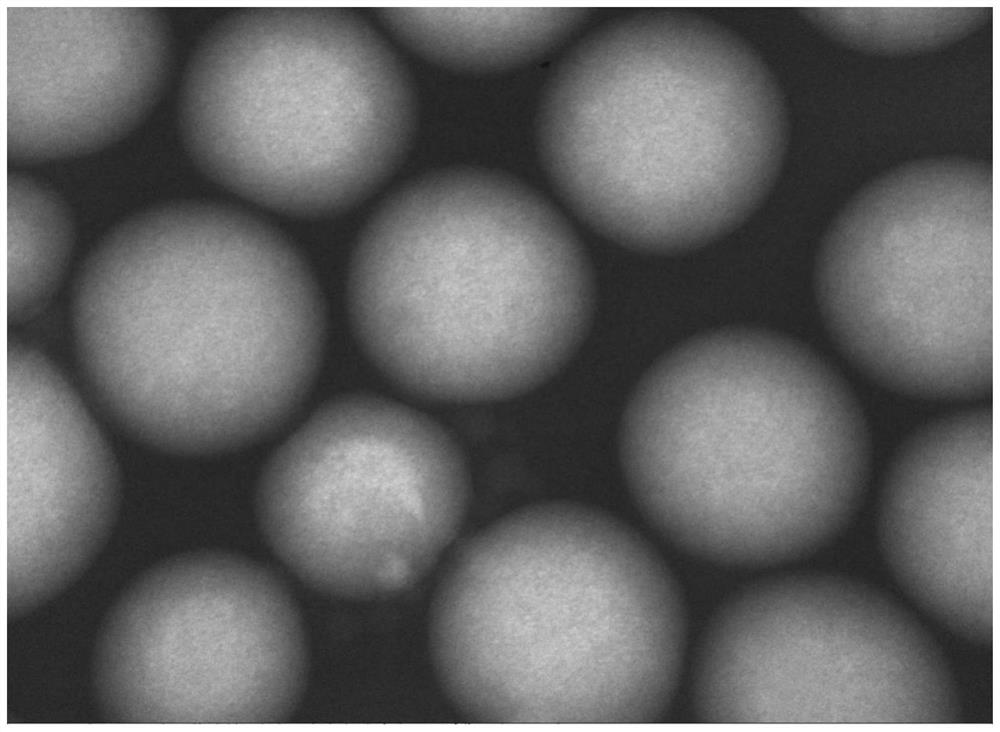 Recombinant collagen biphasic gel as well as preparation method and application thereof