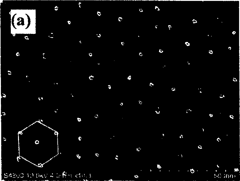 A method for preparing hexangular ordered FePt nanometer particle arrays