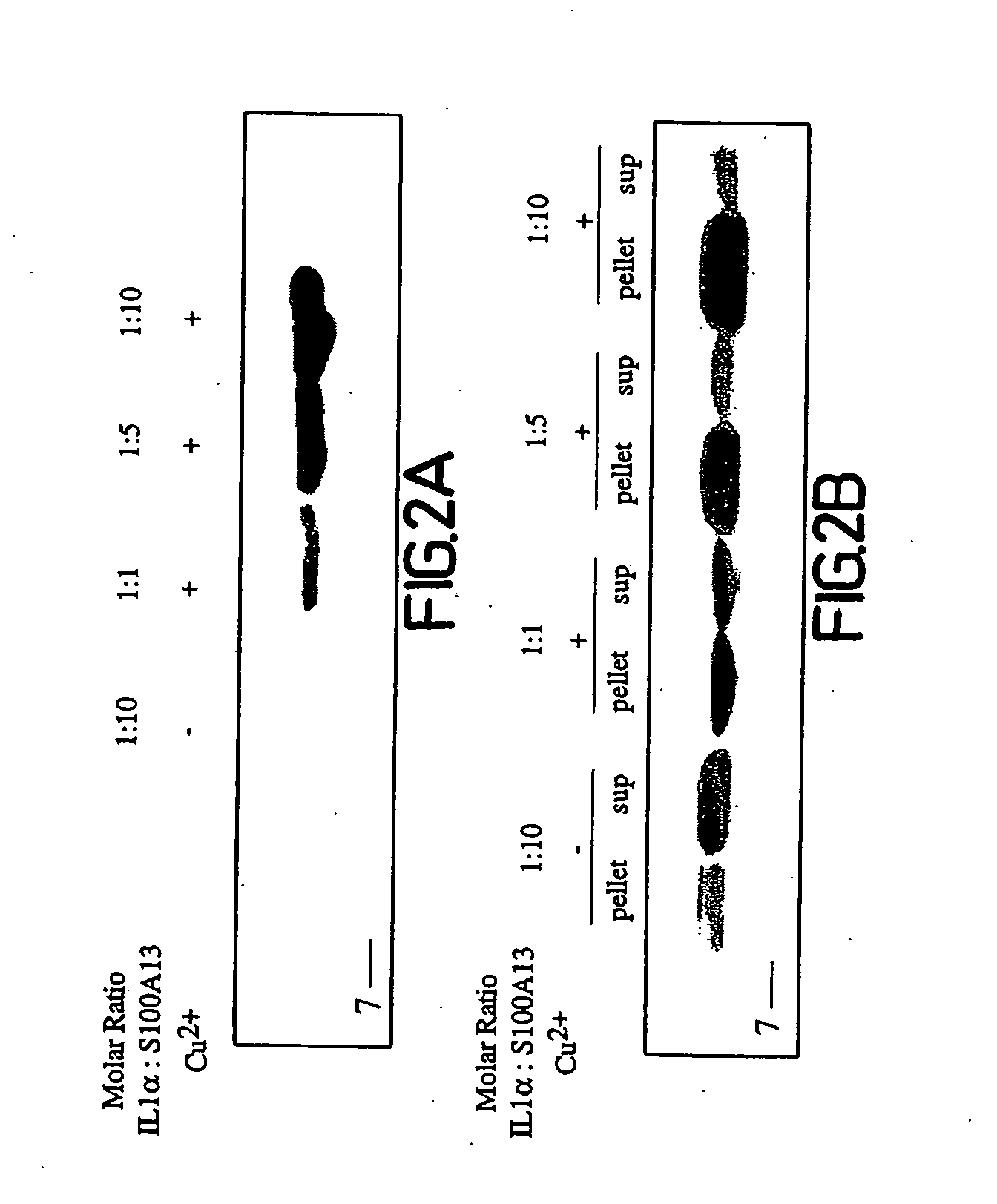 Copper-dependent non-traditional pro-inflammatory cytokine export and methods, compositions and kits relating thereto