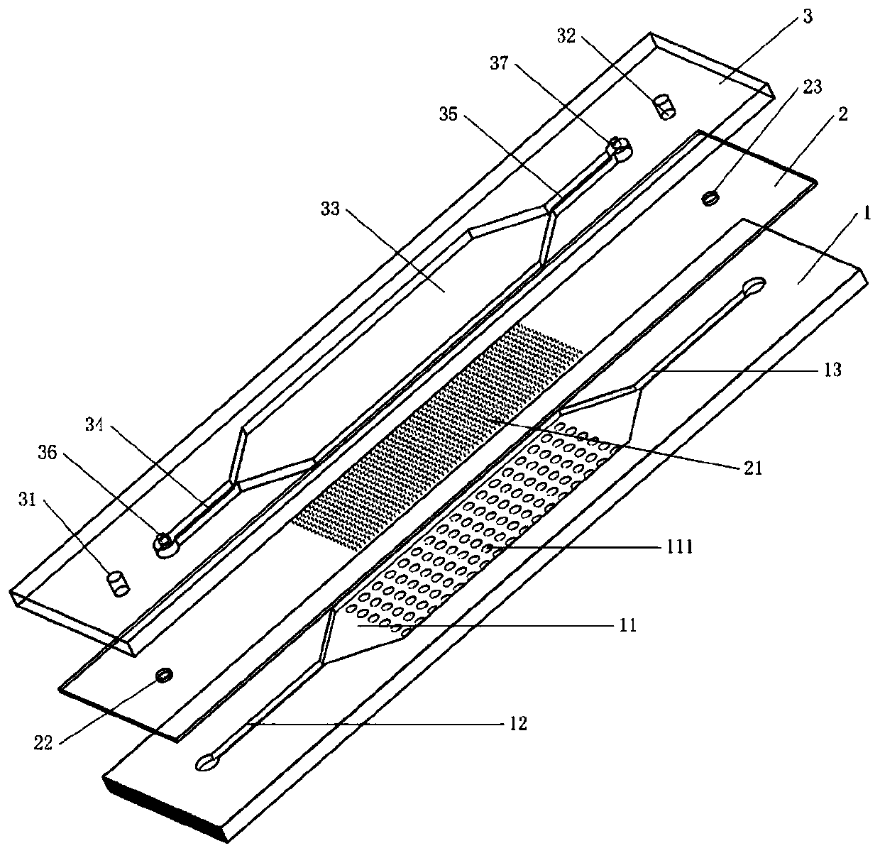 Micro-fluidic chip and drug administration culture method for tumor cell three-dimensional culture