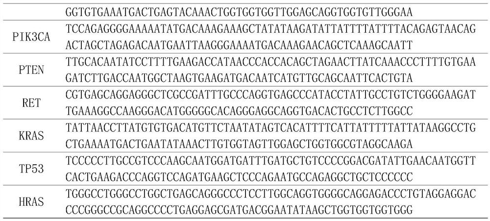 Application of gene mutation site and mutation site detection method