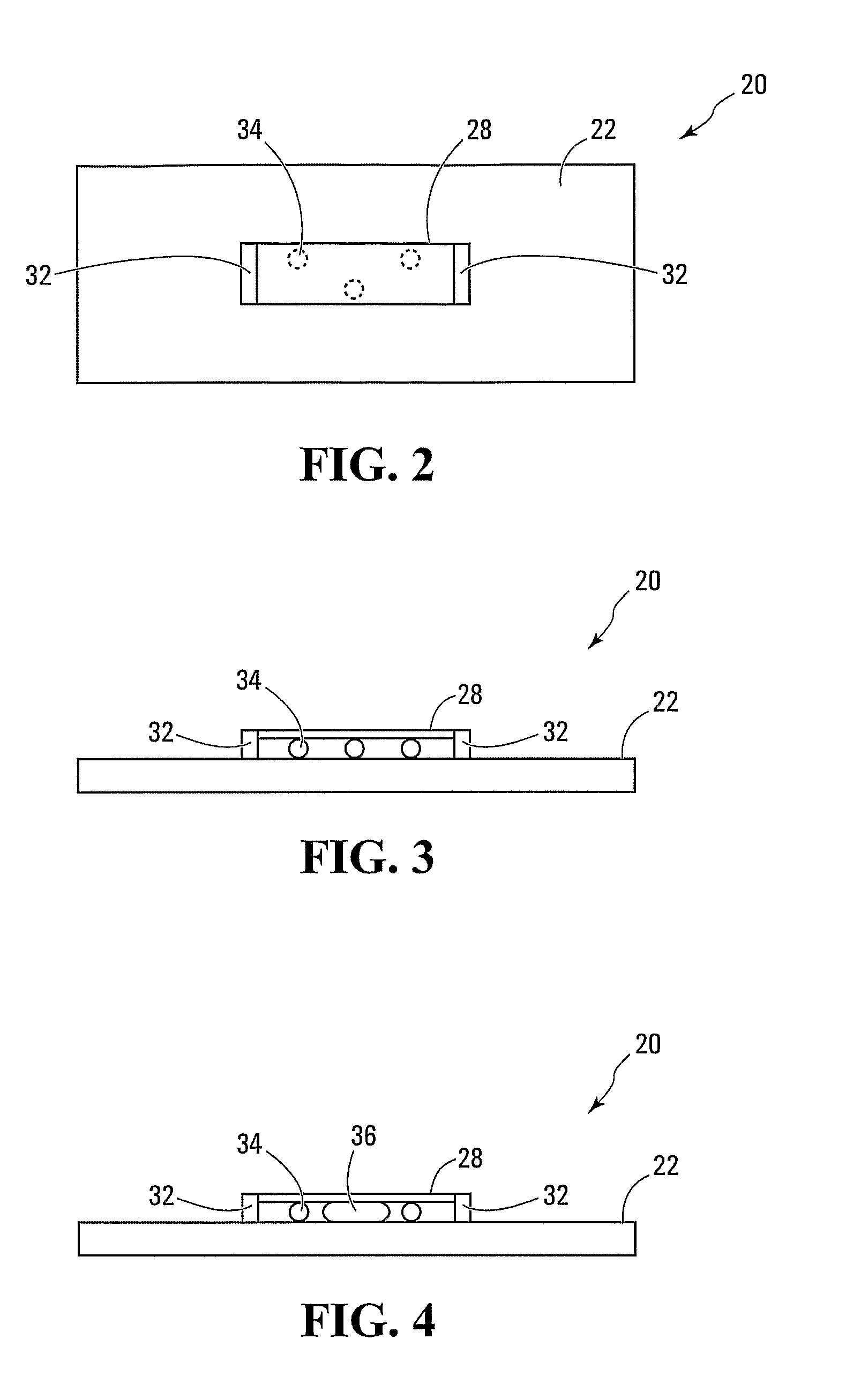 Cultured cell and method and apparatus for cell culture
