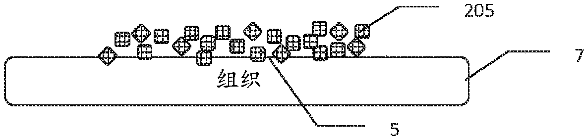 Methods and devices for co-delivery of liquid and powdered hemostats and sealants