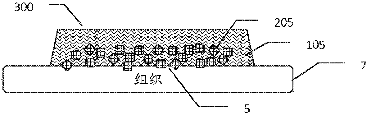 Methods and devices for co-delivery of liquid and powdered hemostats and sealants