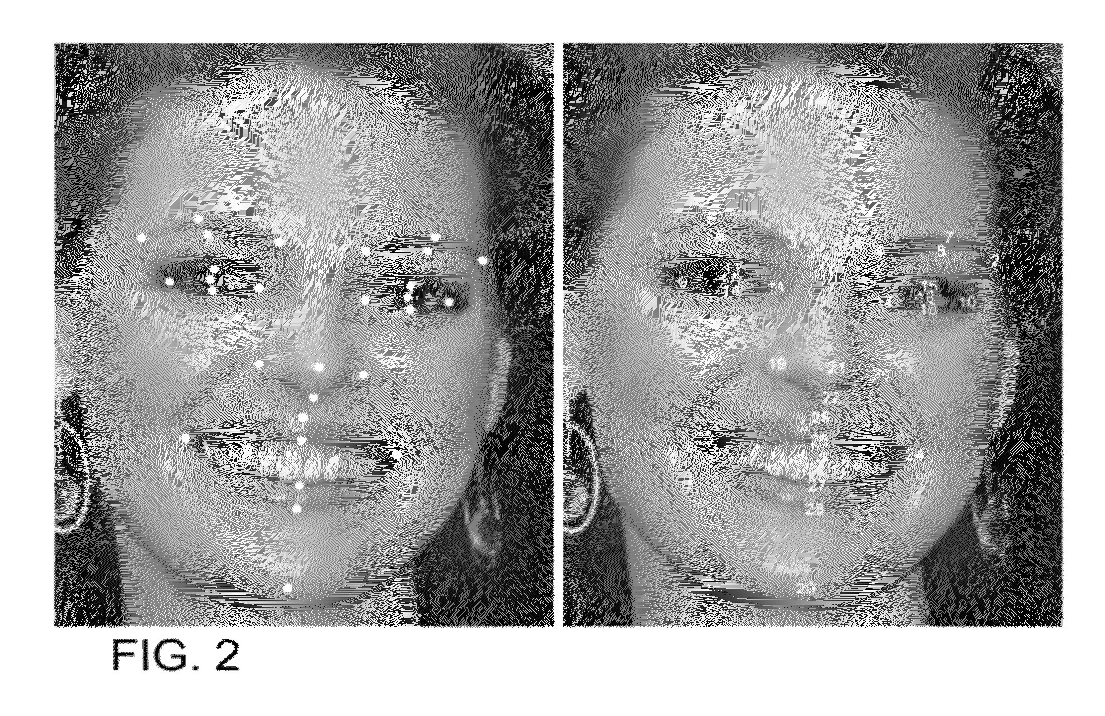 Method and system for localizing parts of an object in an image for computer vision applications