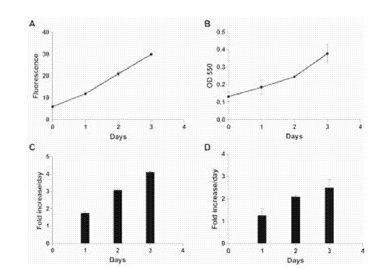 Fluorescent cell model for screening of antitumor drugs, labeling method and application thereof