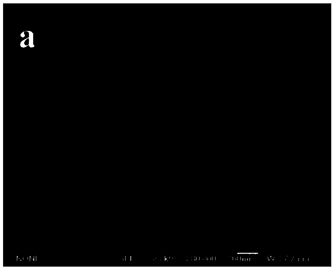 Preparation method of Fe3O4/alpha-Fe2O3 magnetic microspheres in core/shell structure