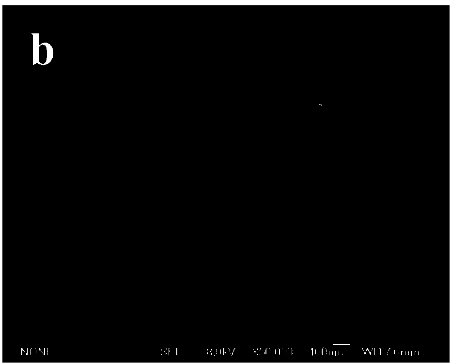 Preparation method of Fe3O4/alpha-Fe2O3 magnetic microspheres in core/shell structure