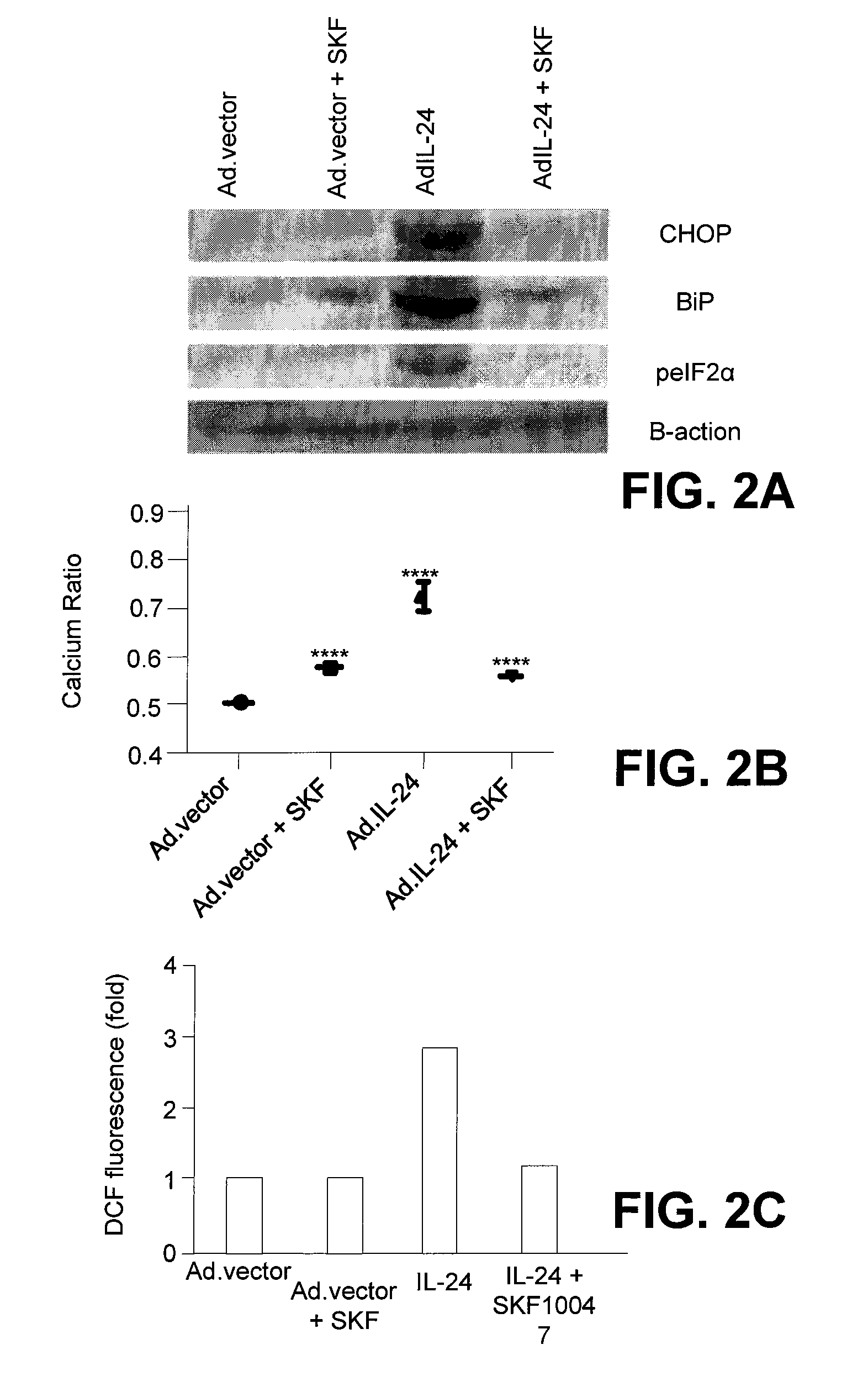 Method of treating sigma 1 receptor-expressing tumors with interleukin 24