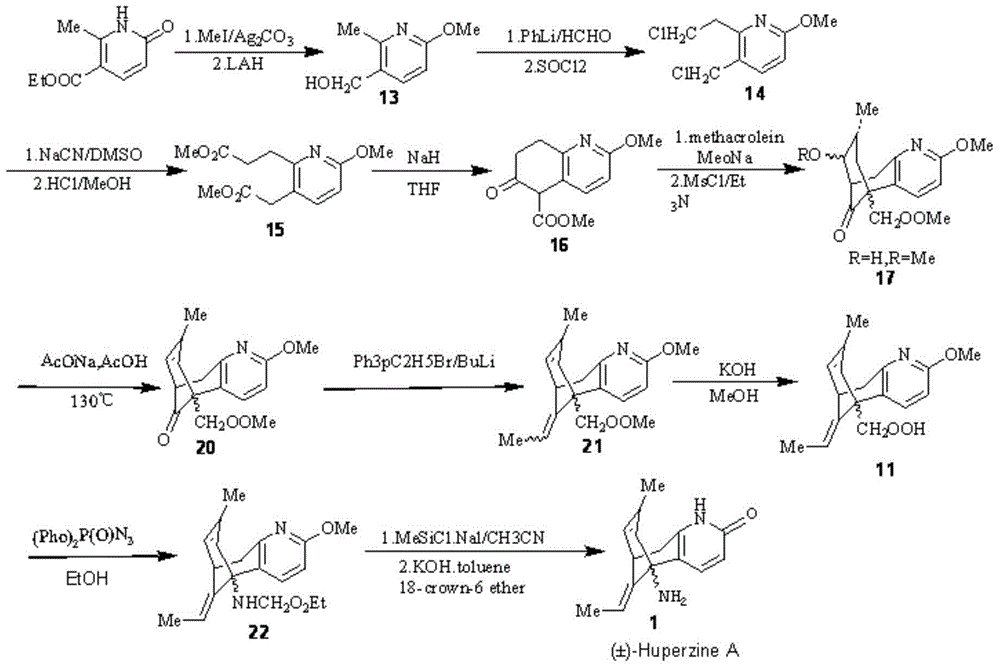 Reversible acetylcholinesterase inhibitor huperzine-A synthesis method