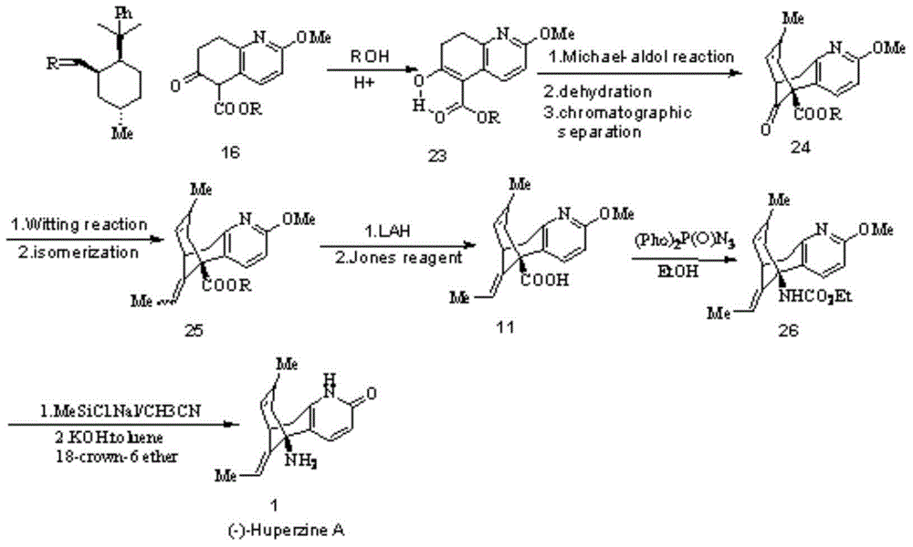 Reversible acetylcholinesterase inhibitor huperzine-A synthesis method