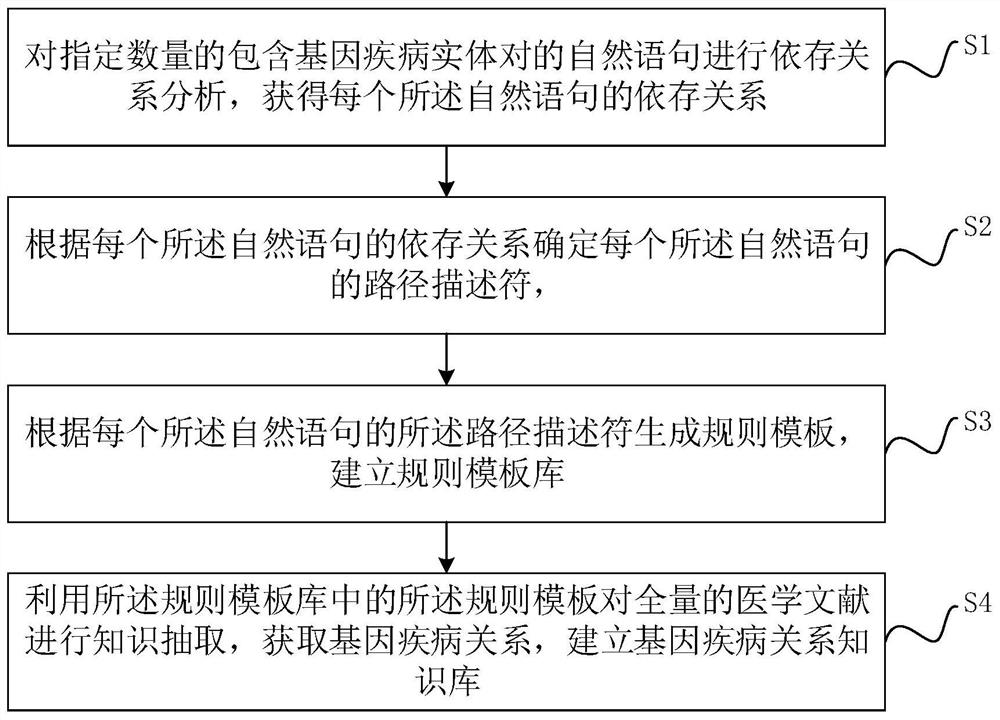 Gene disease relationship knowledge base construction method and device and computer equipment