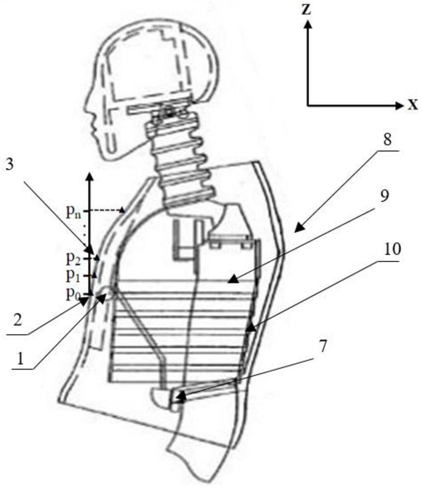 Correction method for chest compression deformation amount of dummy in collision test