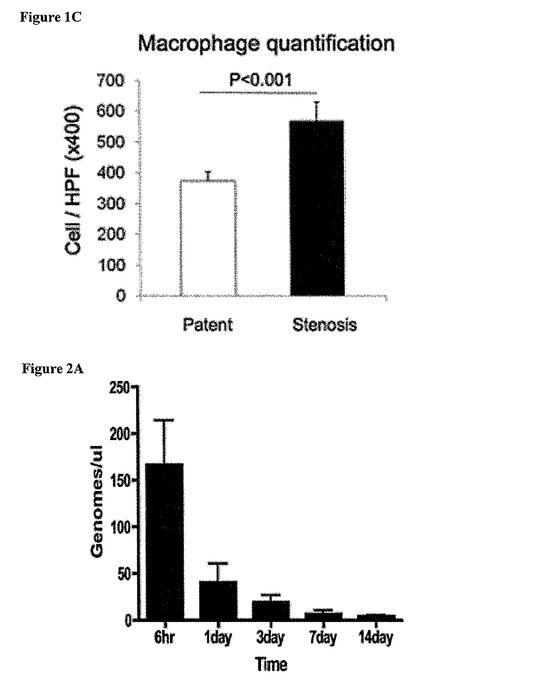 Cell-free tissue engineered vascular grafts