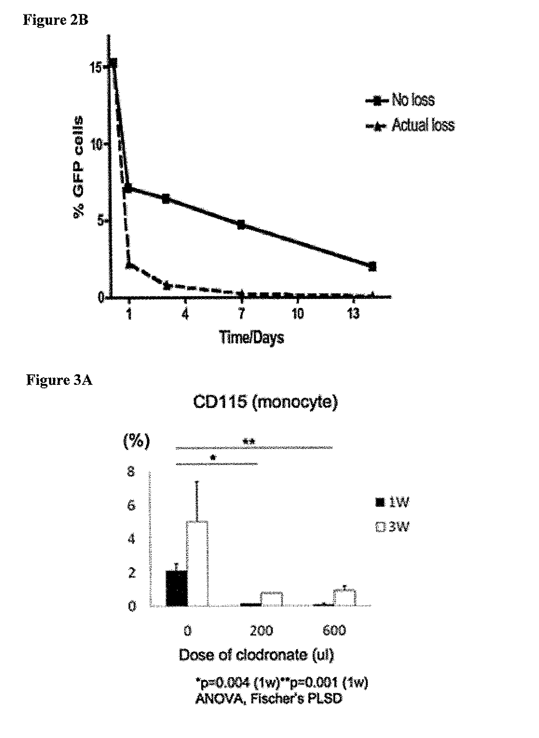 Cell-free tissue engineered vascular grafts