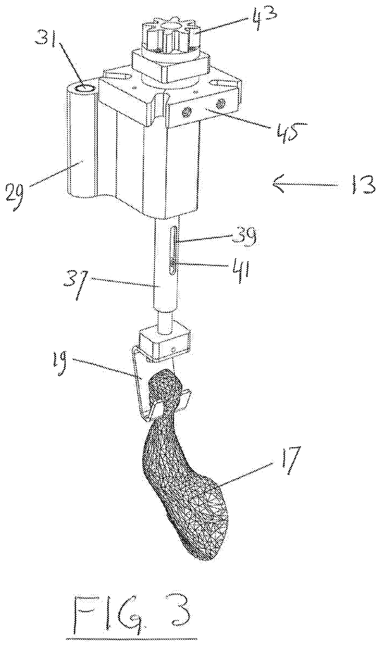 Method and apparatus for continuously harvesting surrounding meat from a successive plurality animal legs