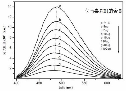 Fluorescent probe sensor, method for making the same, and method for detecting fumonisins