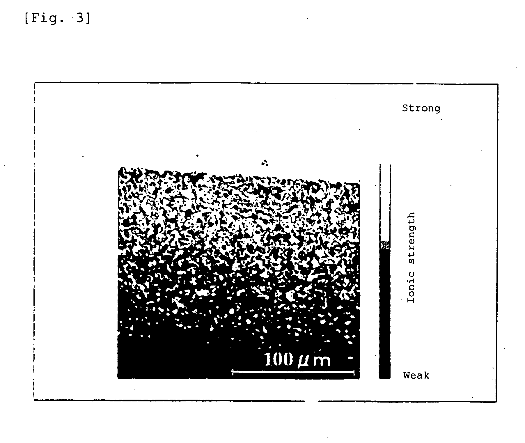 Single Layer Film and Hydrophilic Material Comprising the Same