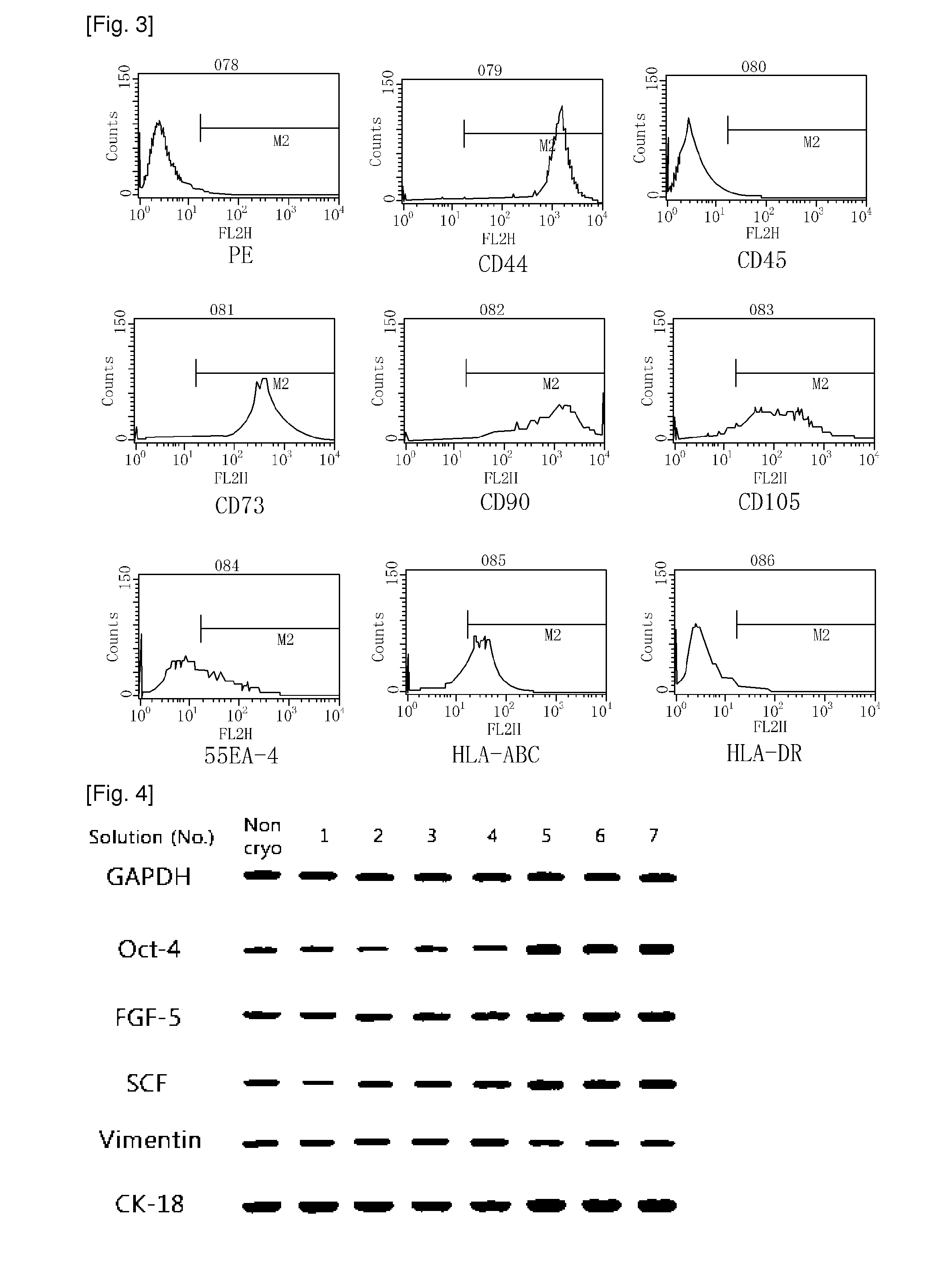 Freezing medium composition for cryopreserving amniotic fluid-derived stem cells and a method for cryopreserving the same