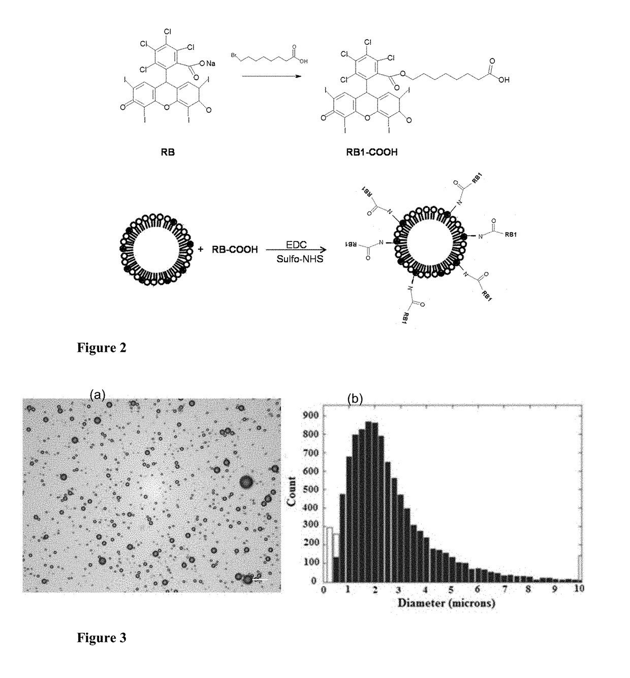 Microbubble-chemotherapeutic agent complex for sonodynamic therapy