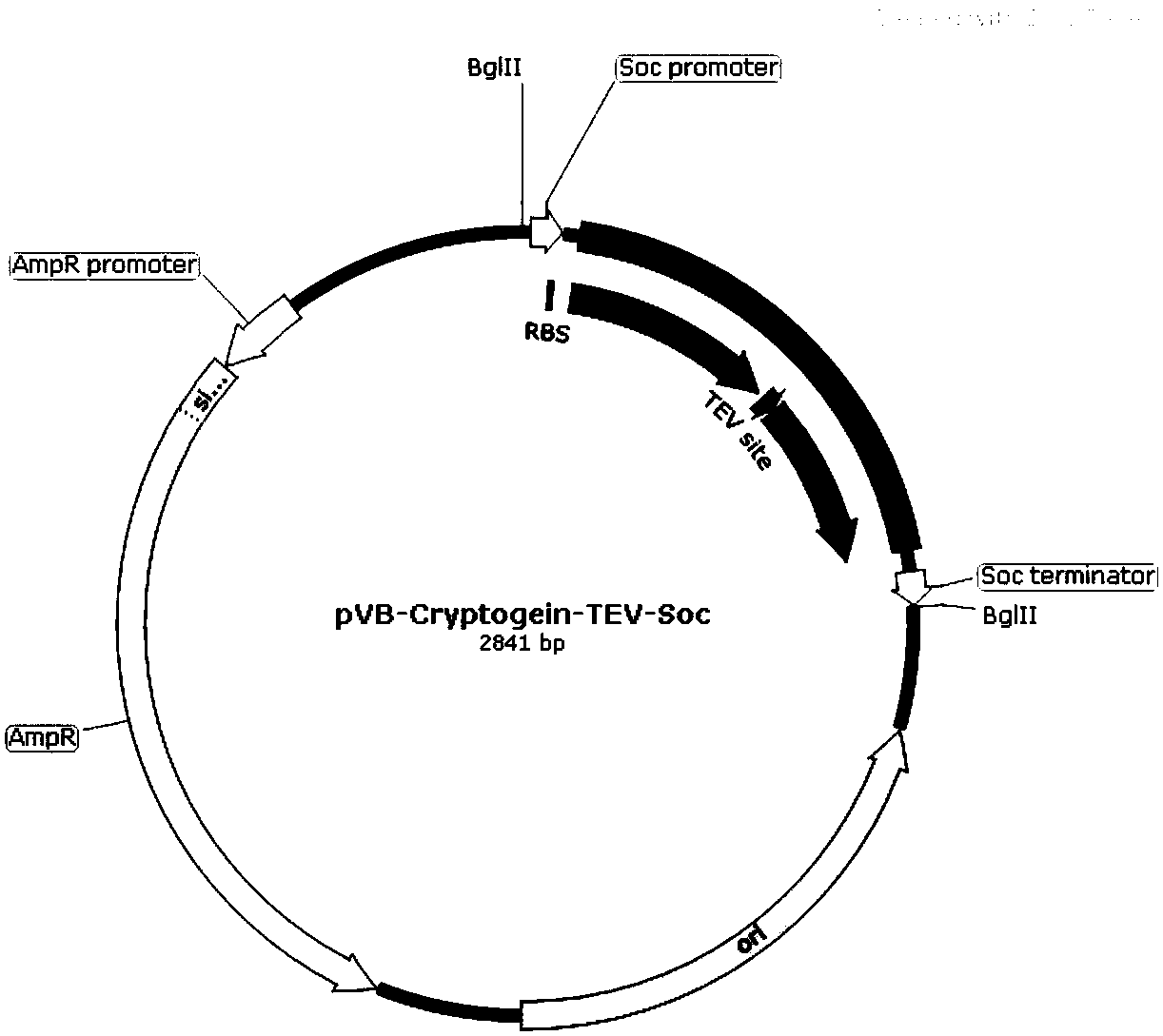 Method for preparing high purity cryptoprotein