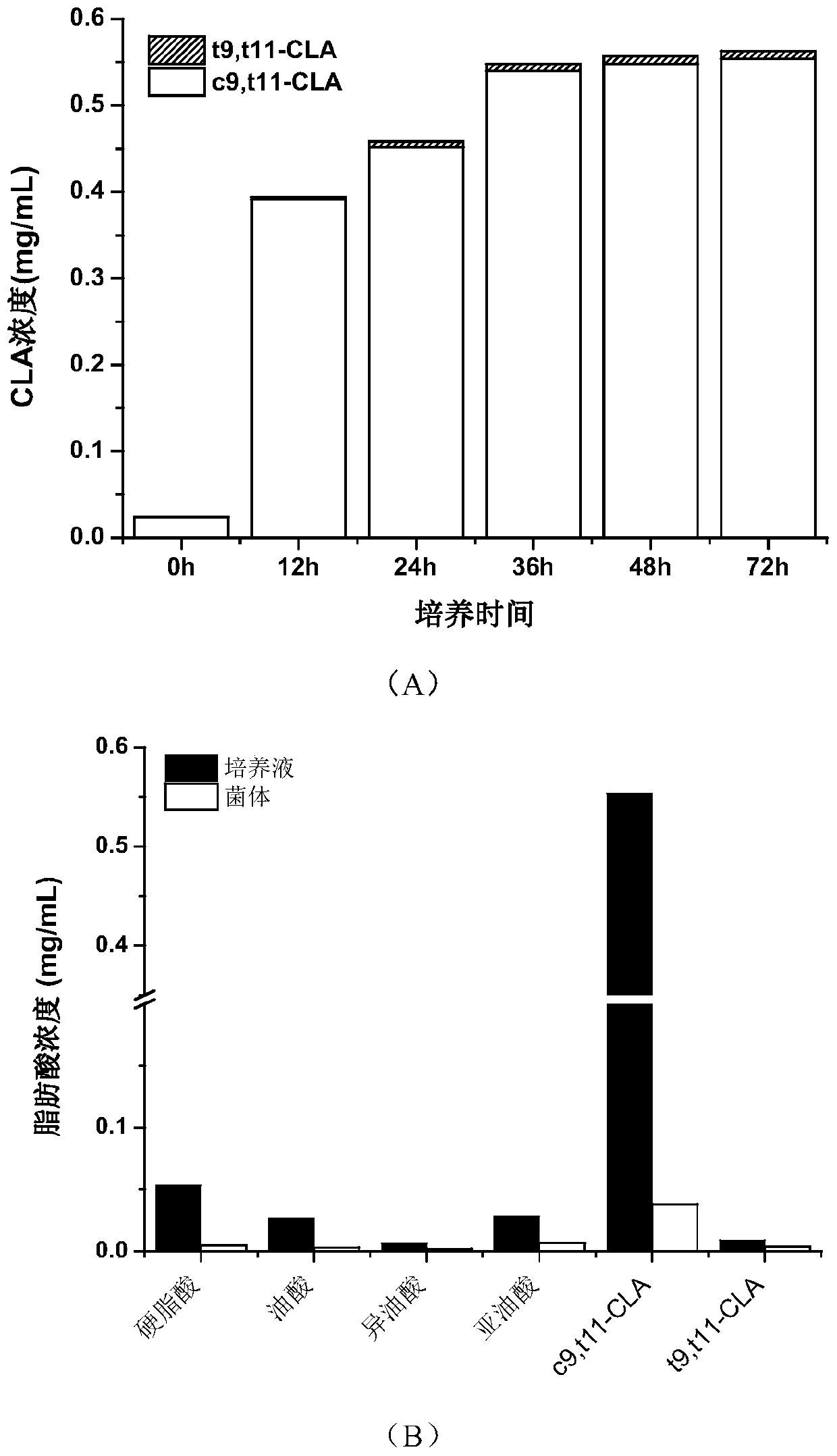 Bifidobacterium breve and application thereof in preparation of conjugated fatty acid