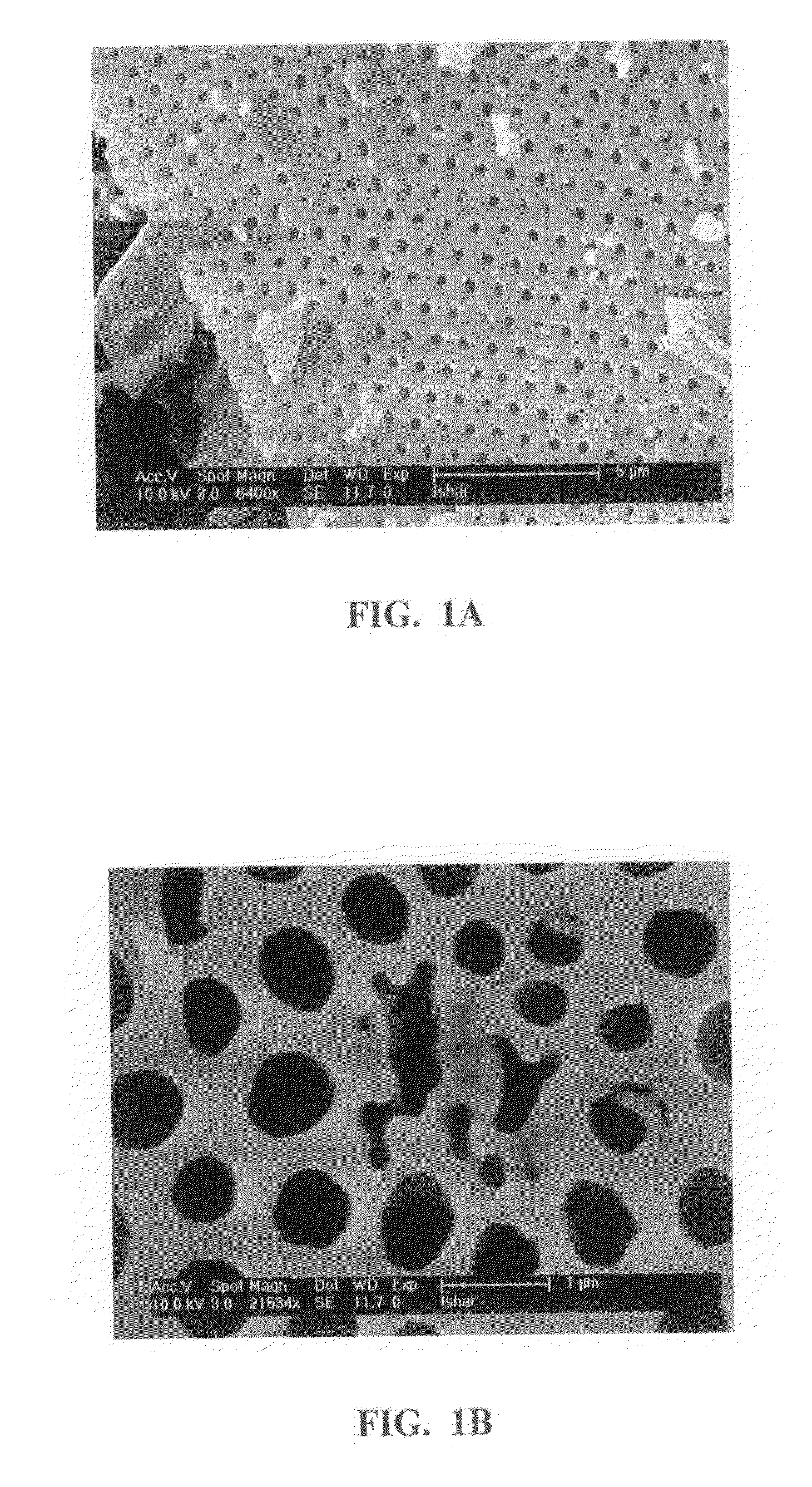 Zero valent metal composite, manufacturing, system and method using thereof, for catalytically treating contaminated water