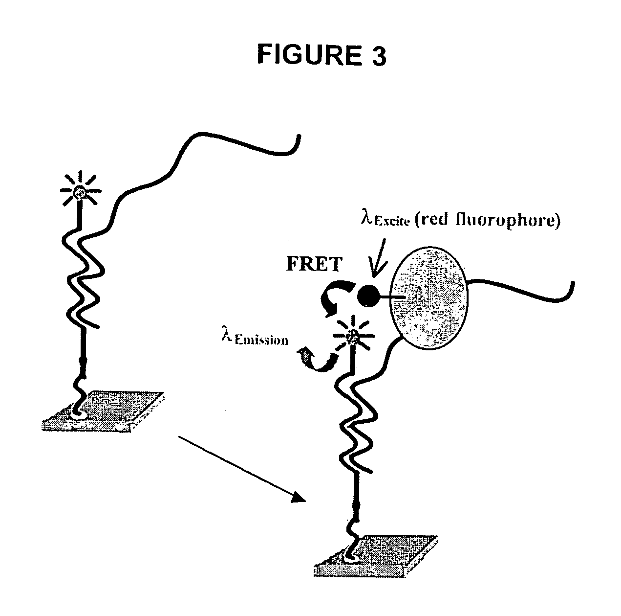 Methods and compositions for high throughput identification of protein/nucleic acid binding pairs