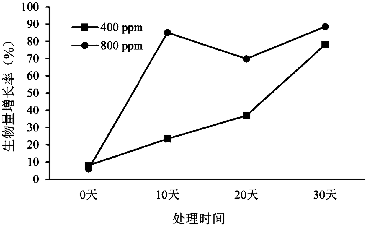 Method for accelerating biomass accumulation of paris polyphylla by increasing carbon dioxide concentration