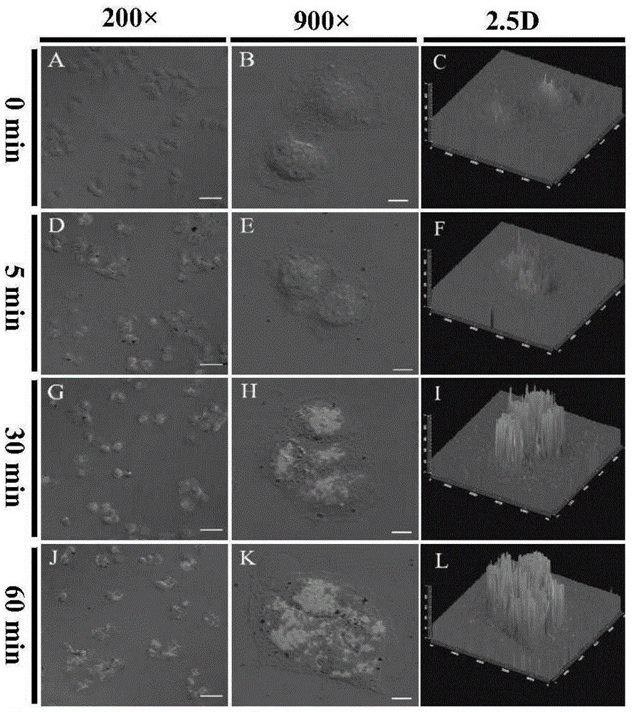 Oxidized mesoporous carbon nanosphere aptasensor, and preparation method and application thereof