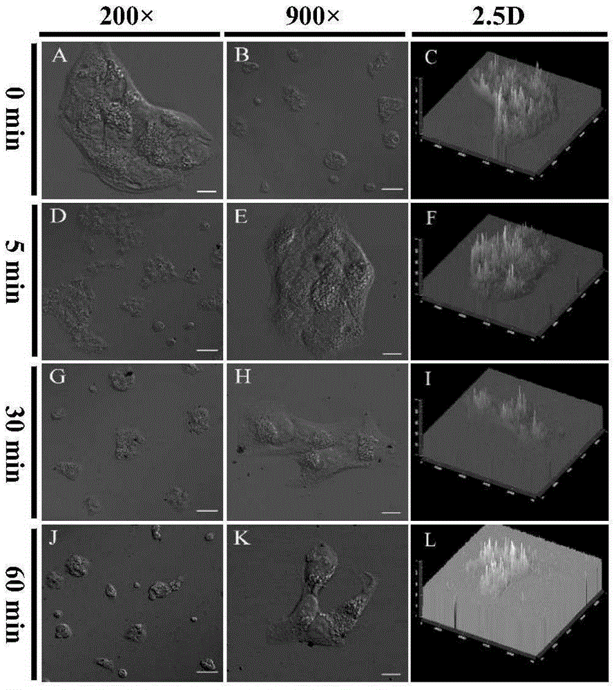 Oxidized mesoporous carbon nanosphere aptasensor, and preparation method and application thereof