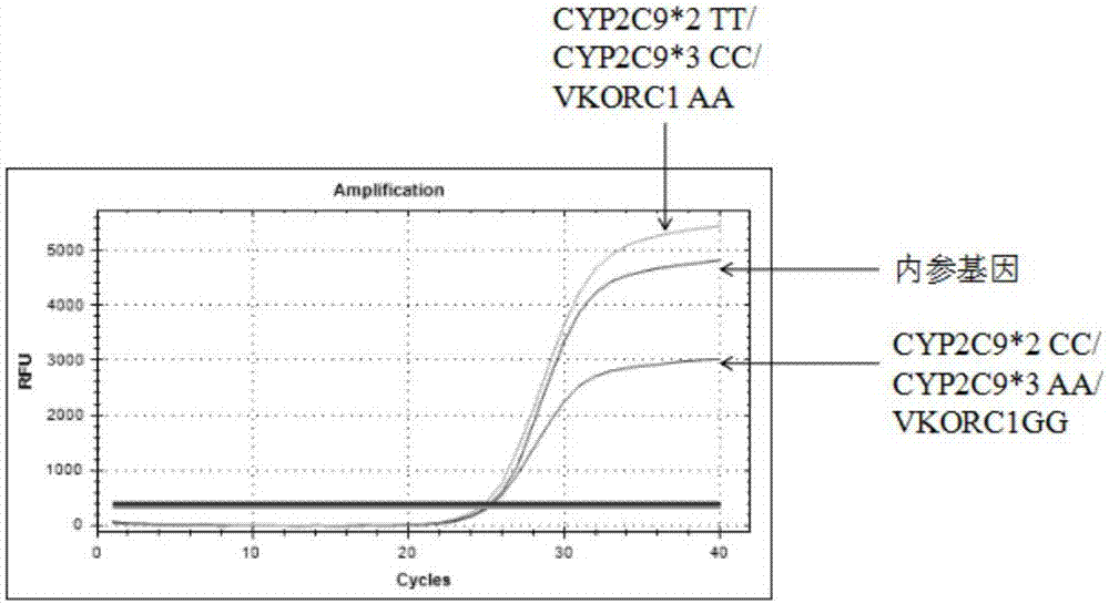 Composition for detecting CYP2C19 and VKORC1 gene polymorphism and its application
