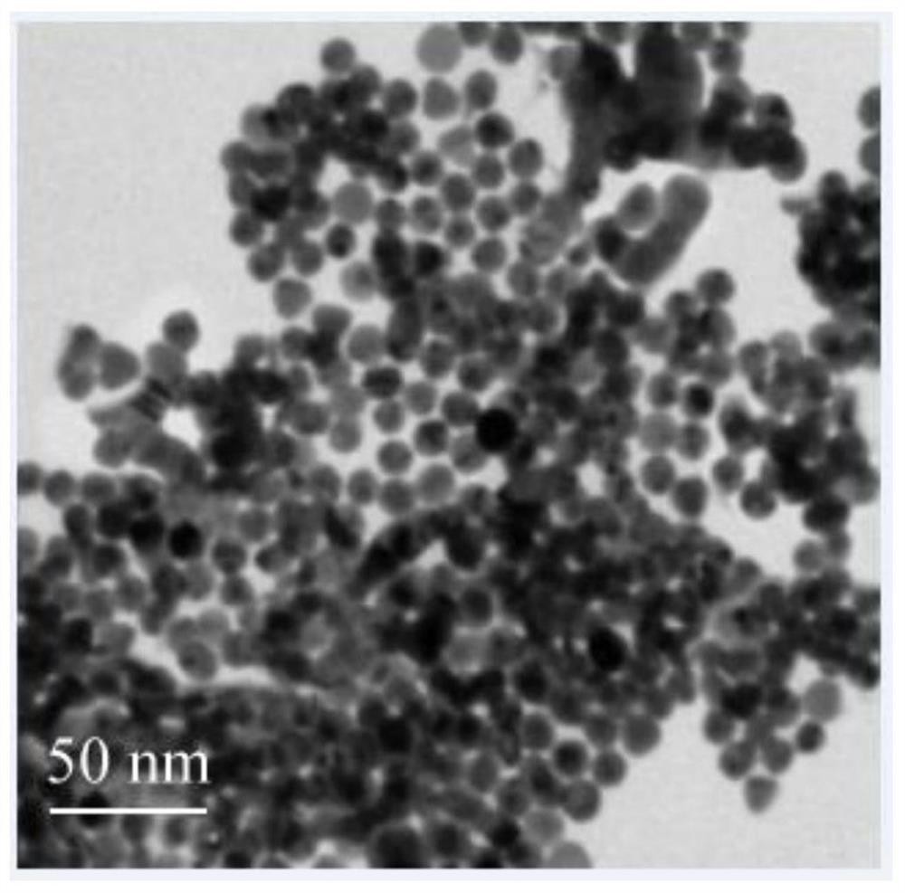 Synthetic method of gold nanoparticles and organophosphorus detection method