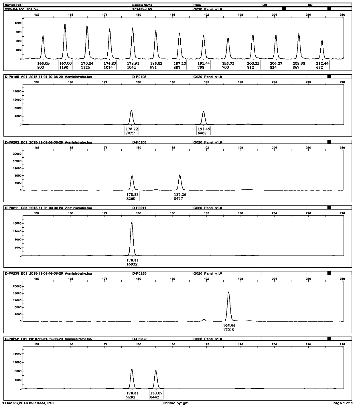 Preparation method of universal short tandem repeat (STR) allele ladder