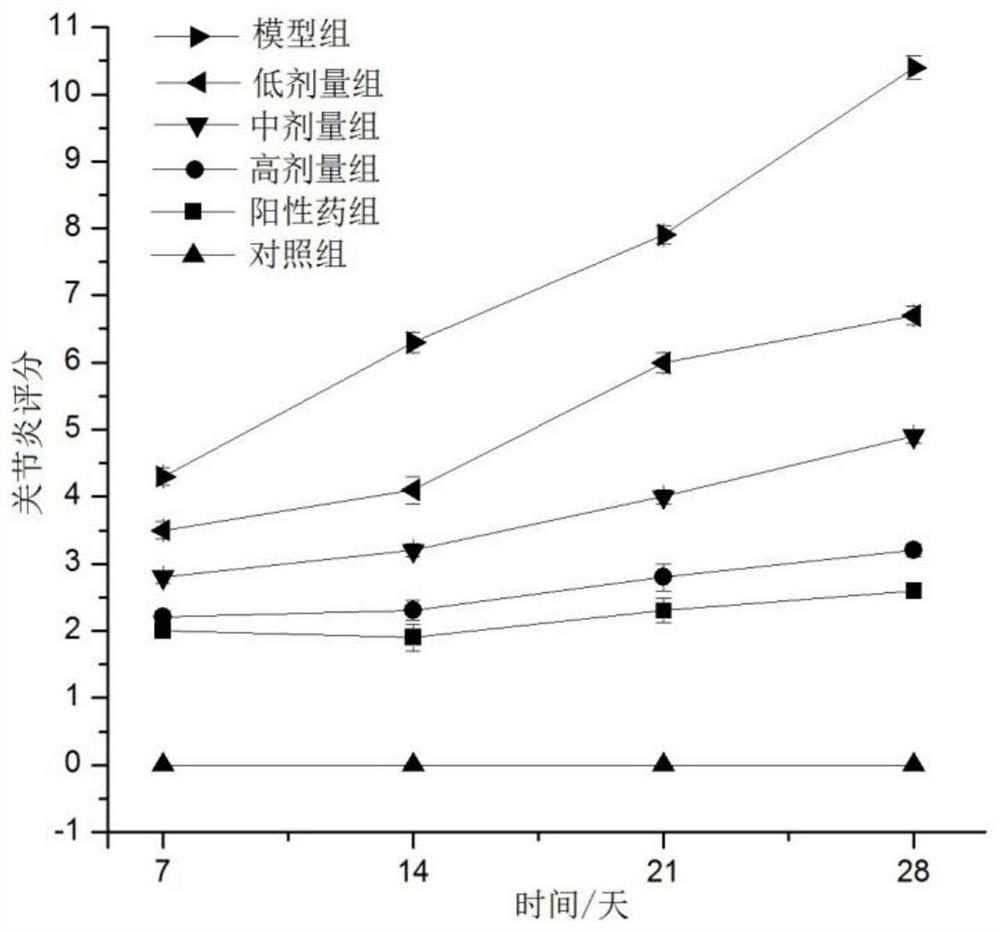 A kind of traditional Chinese medicine for treating rheumatoid arthritis