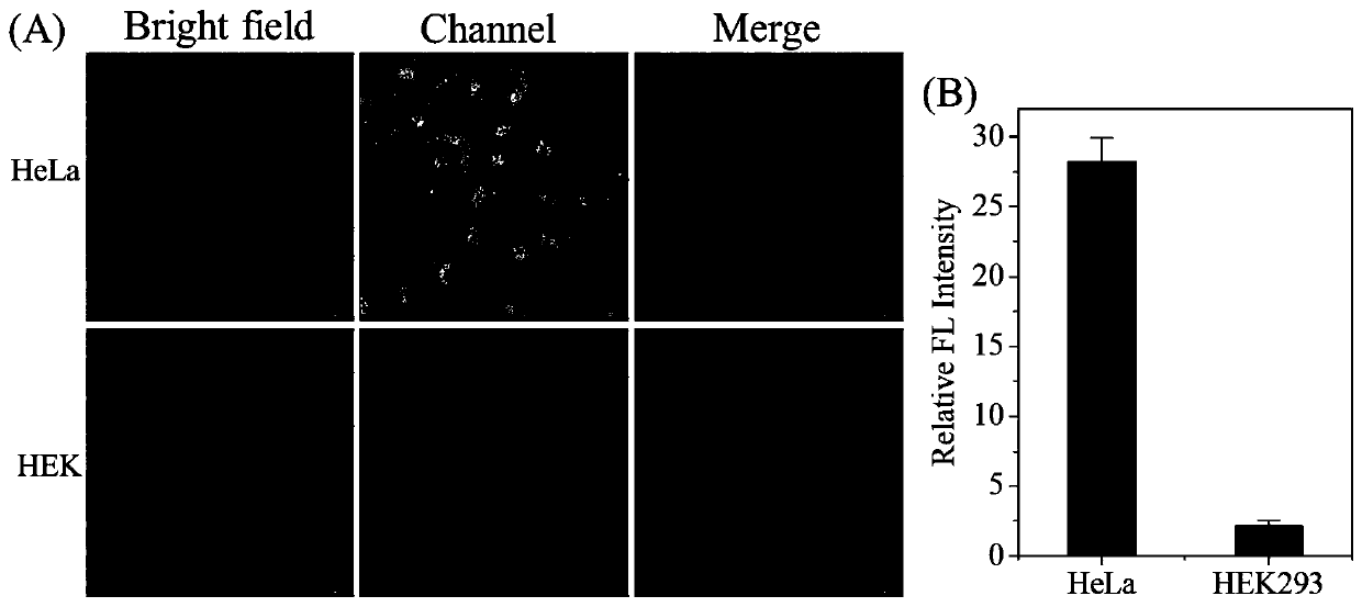 Near-infrared light-emitting binuclear ruthenium complex as tumor cell recognition and imaging reagent