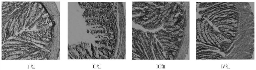 Colitis repairing agent without anti-high cell affinity and application method