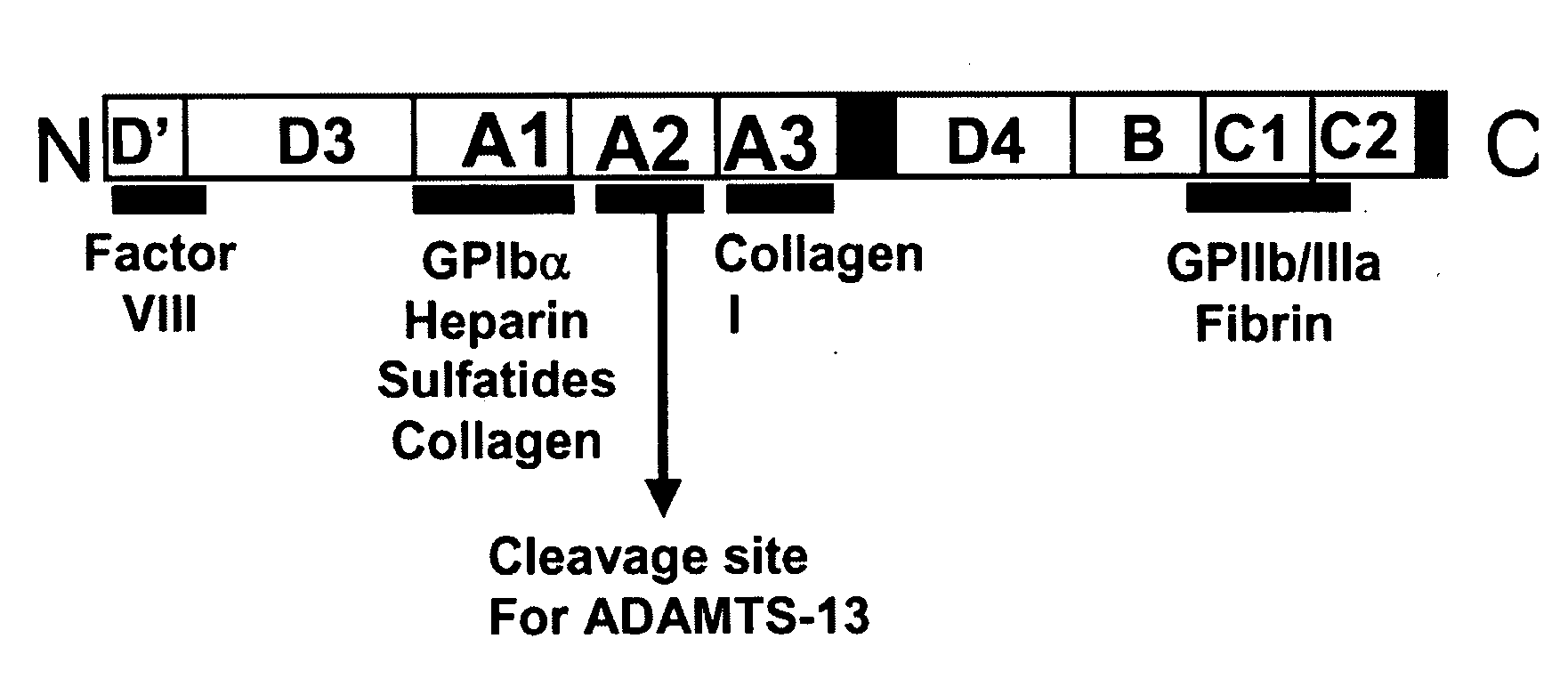 Treatment of medical condition with a2 domain of von willebrand factor